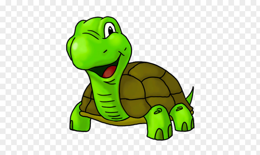 Turtle Cartoon Drawing Clip Art PNG
