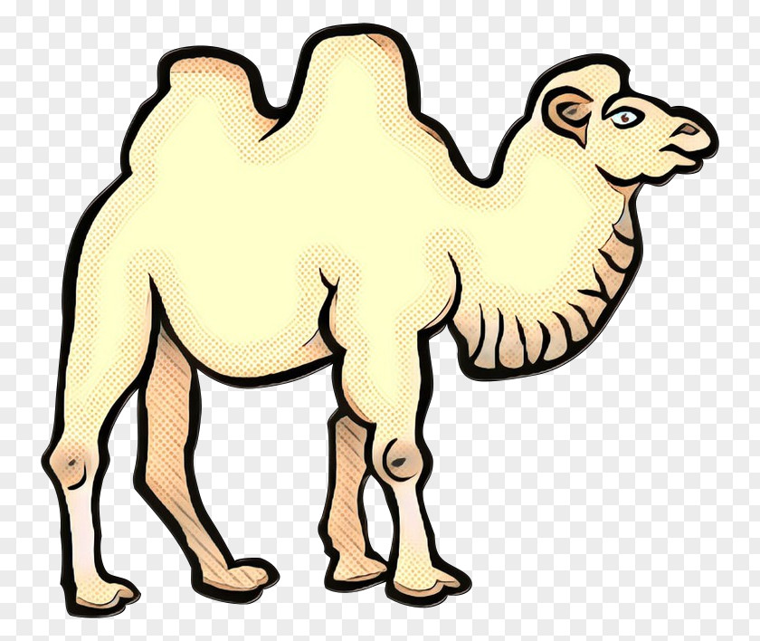Bactrian Camel Dromedary Line Art Drawing Clip PNG