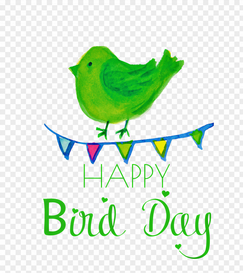 Bird Day Happy International PNG