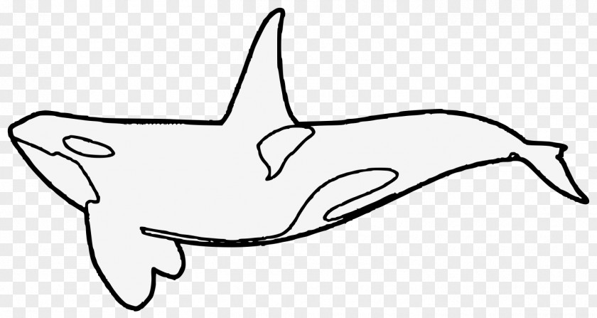 Dolphin Clip Art Killer Whale Whales JPEG PNG