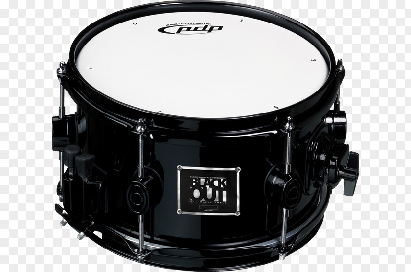 Drums Snare Pacific And Percussion PNG