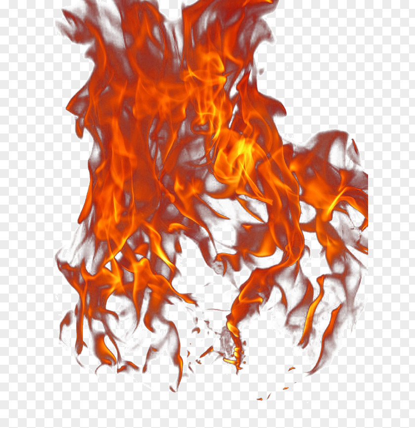 Flame Fire Rides Free Download PNG