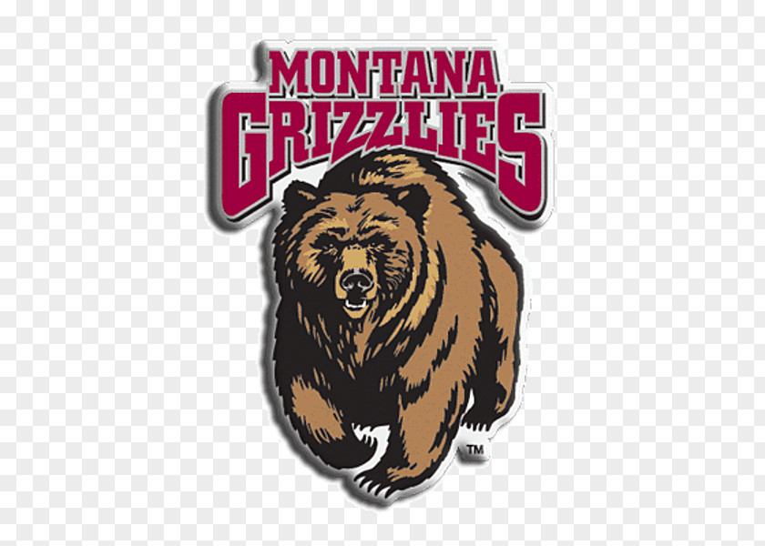 Grizli University Of Montana Grizzlies Football Sport Edwin Rhodes Elementary School PNG