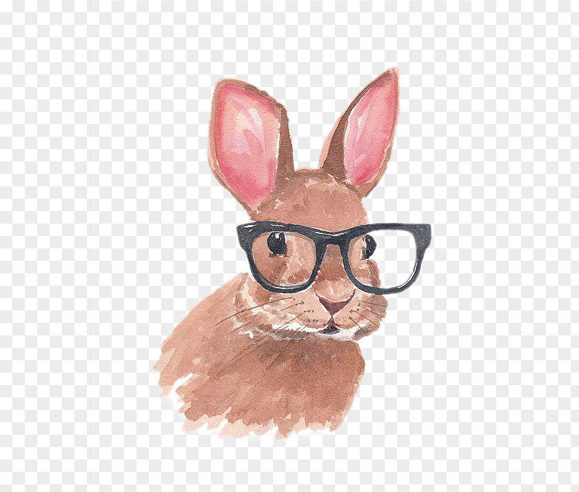 Hand-painted Rabbit With Glasses Lionhead Easter Bunny Drawing PNG