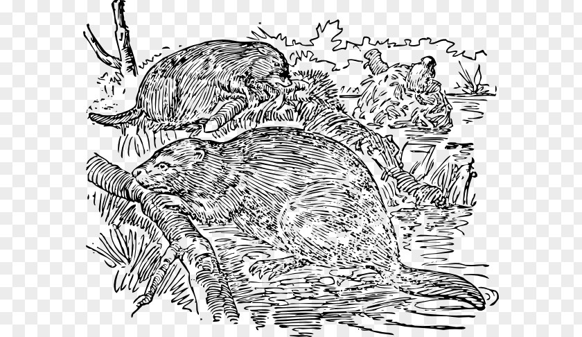 Hard Work Vector Gerbil Rodent Vertebrate American Beaver Clip Art PNG