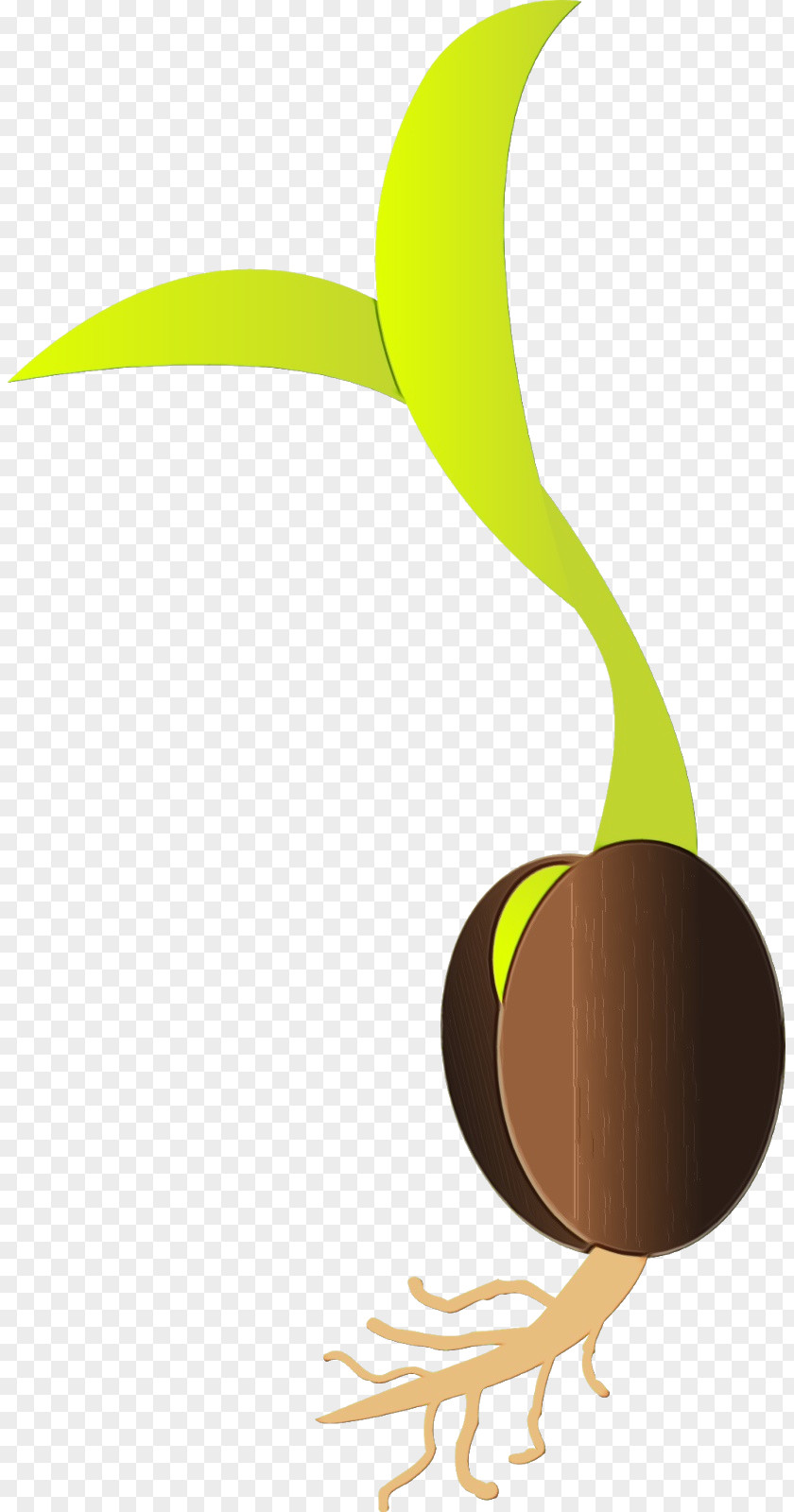 Plant Logo Clip Art Yellow PNG