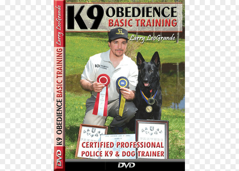 Police Dog English Springer Spaniel Puppy Obedience Trial Training PNG