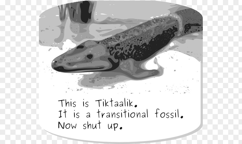 Tiktaalik Transitional Fossil Evolution Living PNG