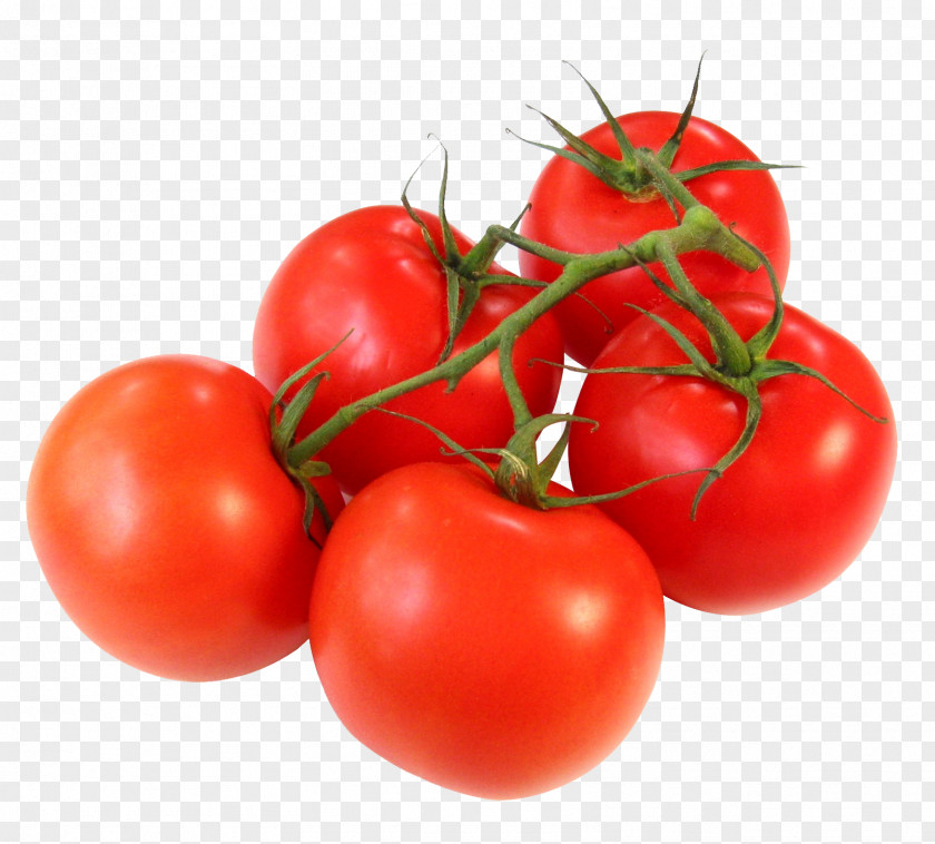 Tomatoes Tomato Juice Vegetable Cherry Food Fruit PNG