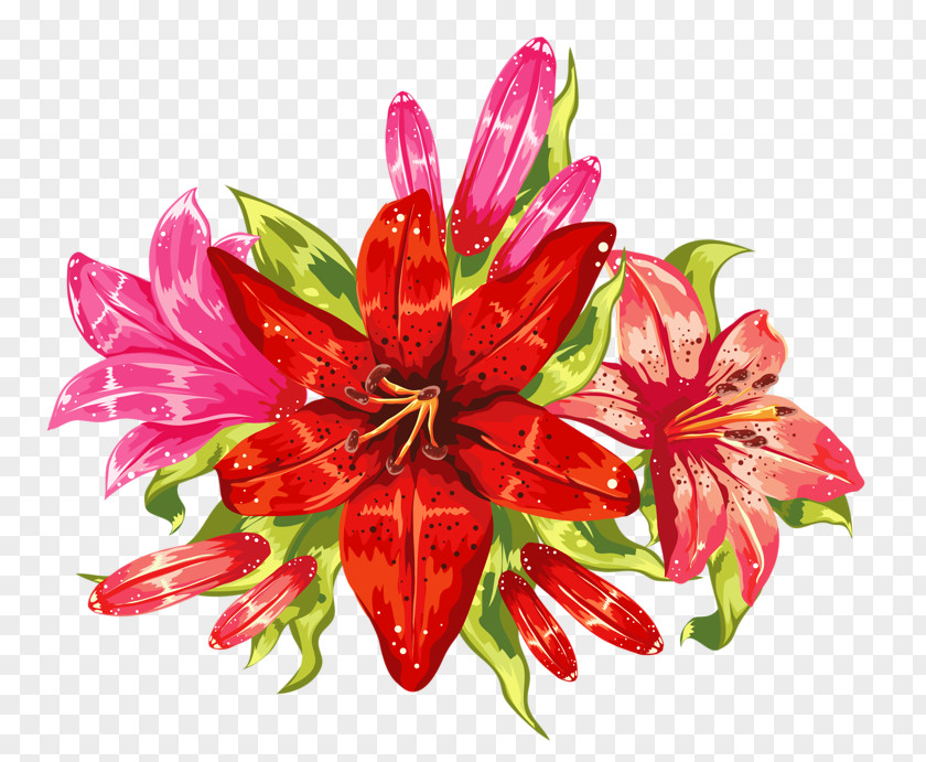 Flower Bouquet Poinsettia Tepal PNG