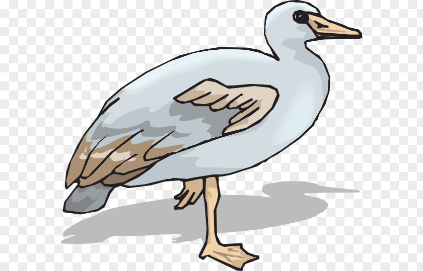 Goose Duck Ganso Clip Art PNG
