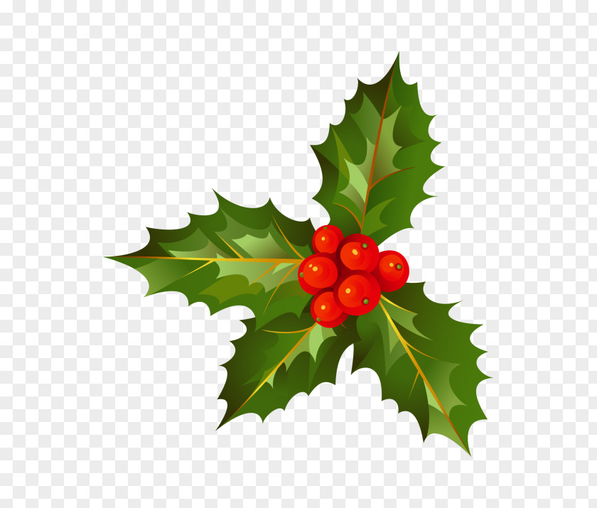 Holly Sign Christmas Day Image Decoration PNG