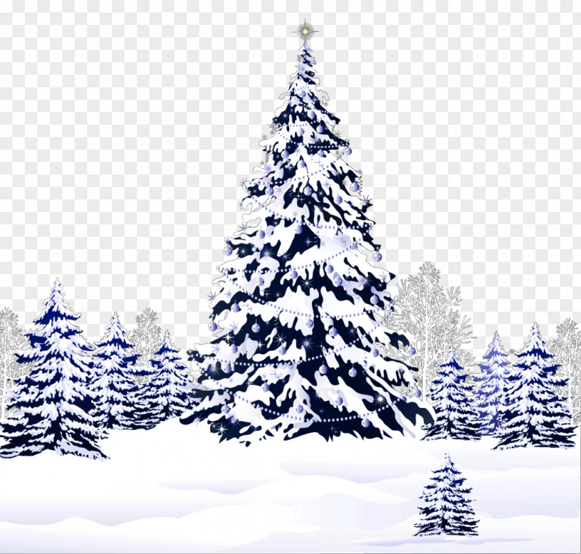Pine Tree Christmas Saint Nicholas Day Desktop Wallpaper Clip Art PNG