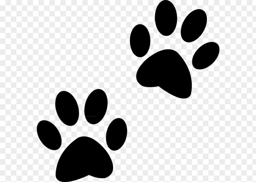 Polydactyl Cat Dog Paw Puppy PNG