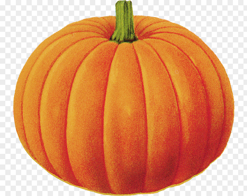 Pumpkin Halloween Free Content Clip Art PNG