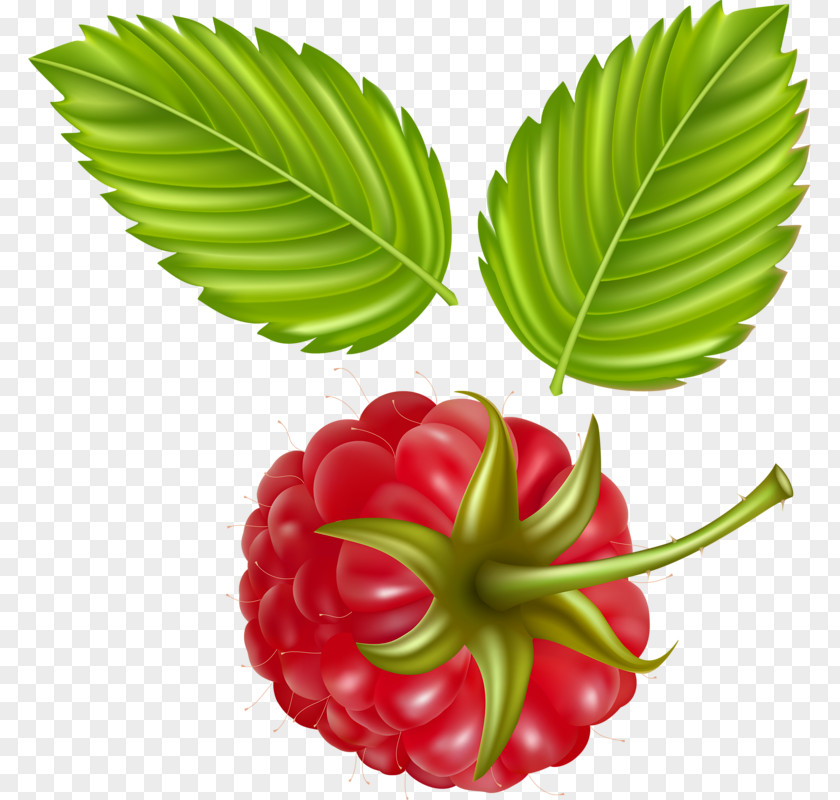 Red Raspberry Juice Fruit PNG