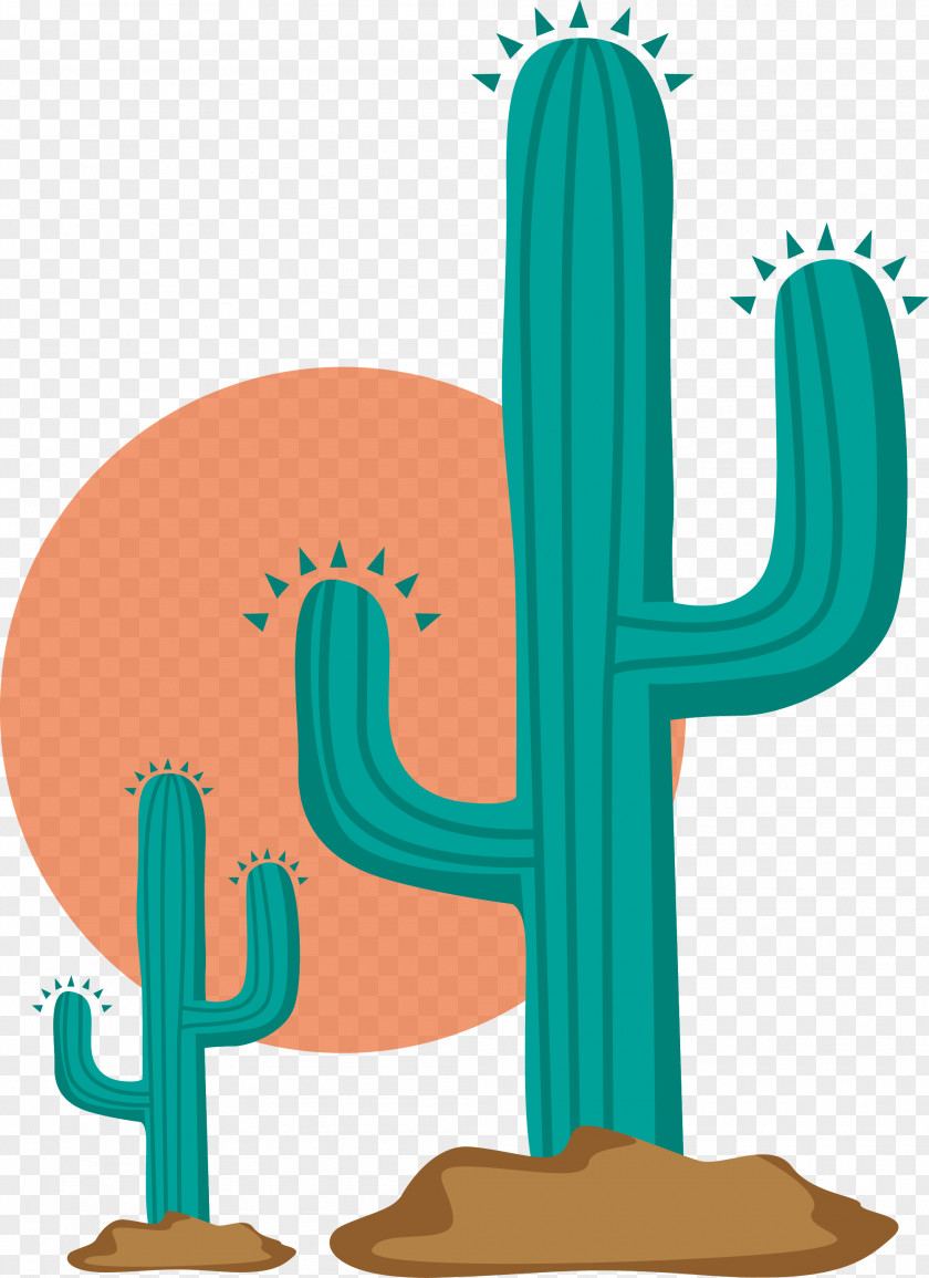 Vector Cactus Cactaceae Clip Art PNG