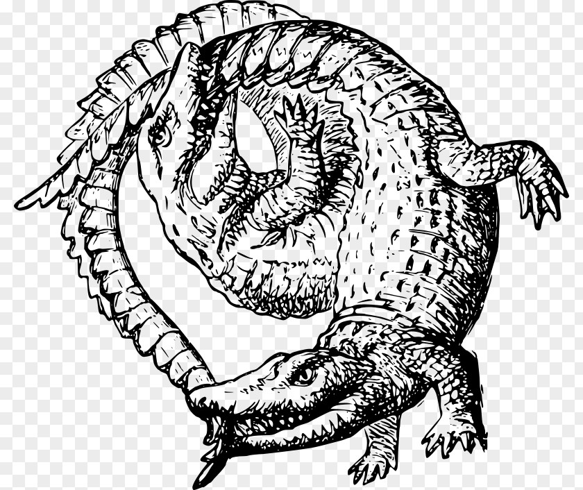 Alligator Book Illustration Drawing Photography PNG