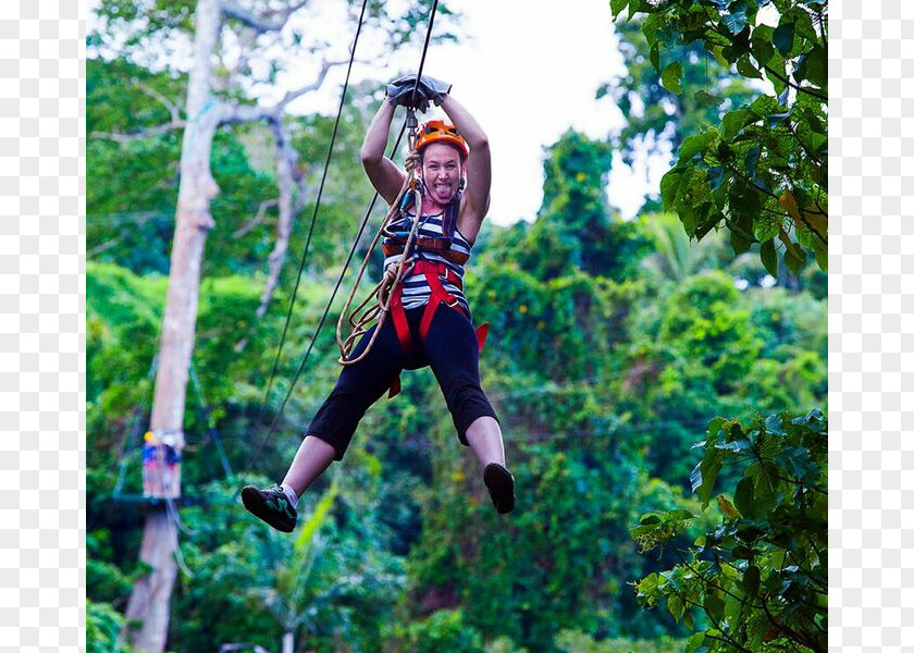 Booking Office Zip-line Climbing Harnesses Vacation TourismVacation Vanuatu Jungle Zipline PNG