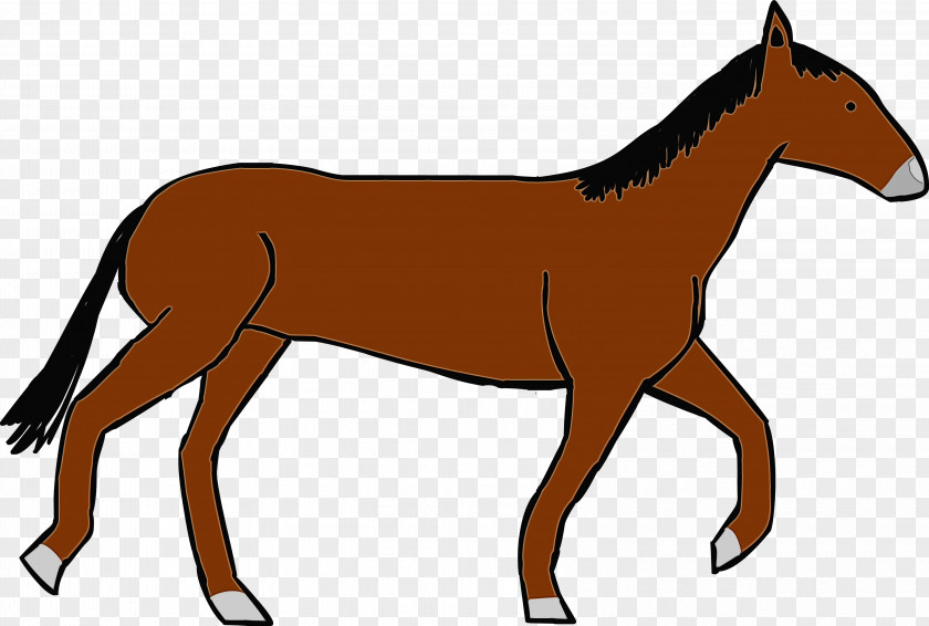Colt Animal Figure Horse Mane Mare Sorrel Foal PNG