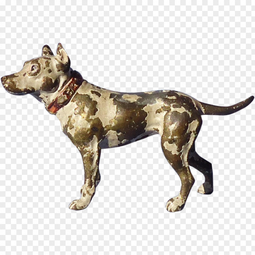 Dog Breed PNG