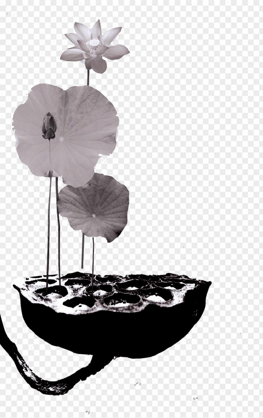 Ink Lotus Effect Poster Chinoiserie PNG
