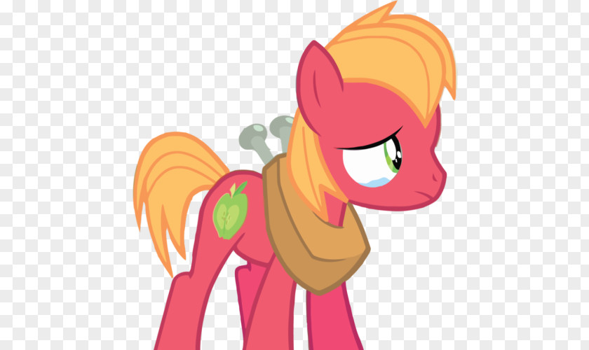 Bashful Flyer Big McIntosh Applejack Pony Apple Bloom Derpy Hooves PNG