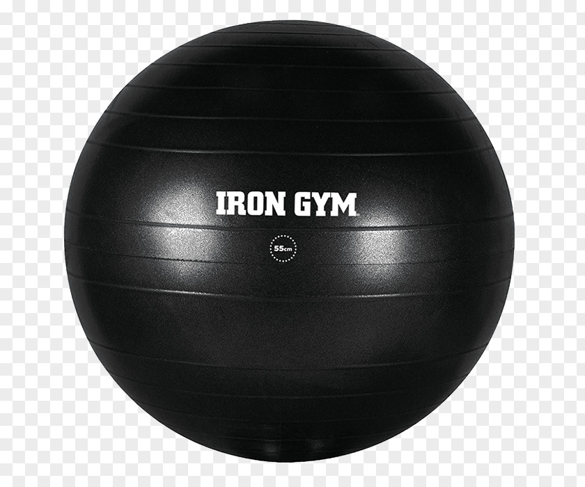 FITNESS BALL Exercise Balls Fitness Centre Strength Training Flexibility PNG