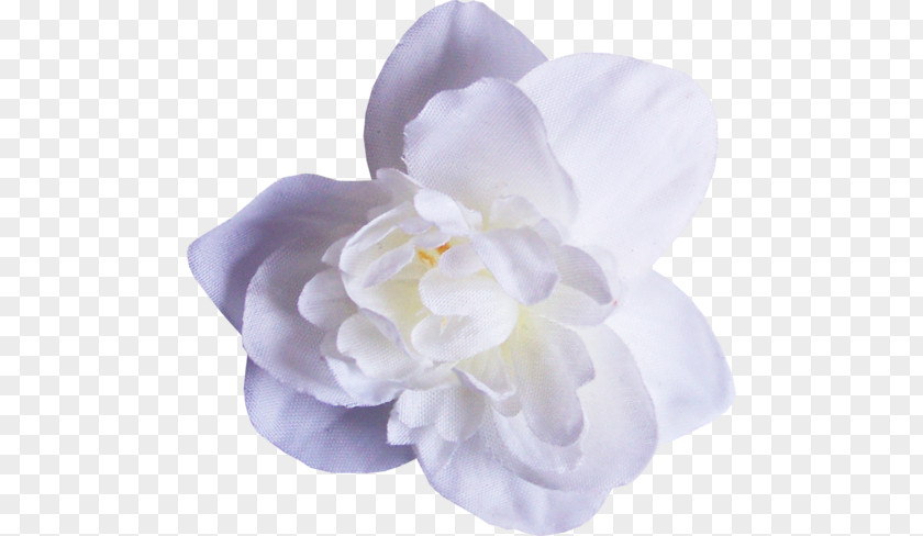 Flower PNG