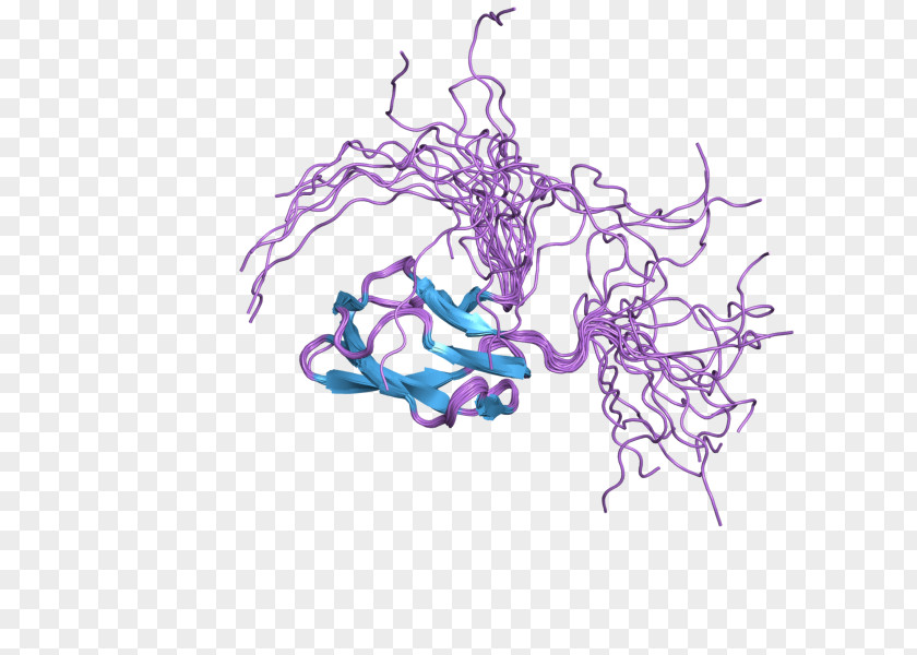 Malonylcoa ACACB Acetyl-CoA Carboxylase Carnitine Palmitoyltransferase I Carboxylation Protein PNG