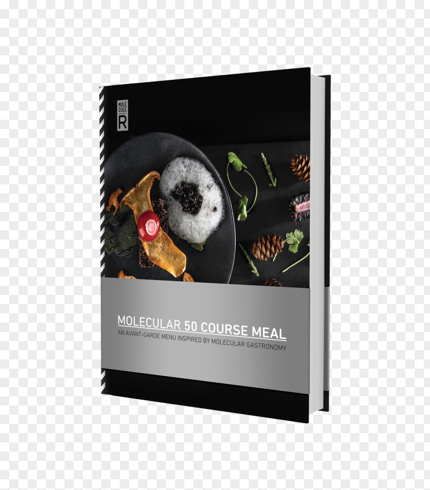 Molekule Inc Molecular Gastronomy 50 Course Meal Paul Food Cooking At Home: Taking Culinary Physics Out Of The Lab And Into Your Kitchen PNG