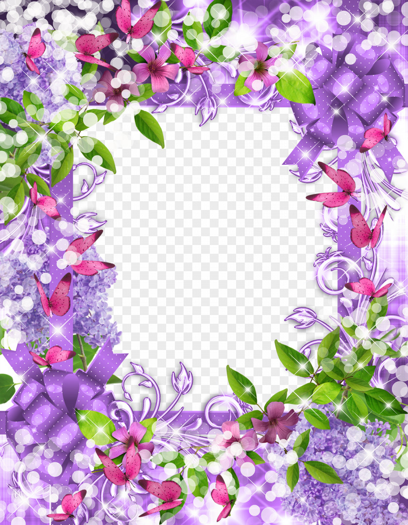 Mood Frame Lilac Picture PNG