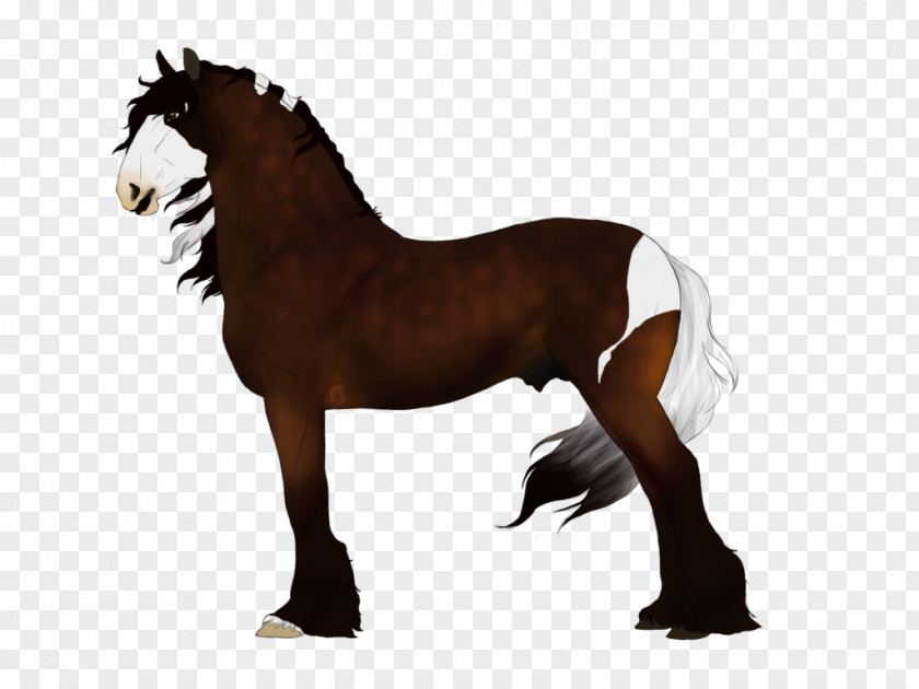 Mustang Mane Stallion Pony Mare PNG