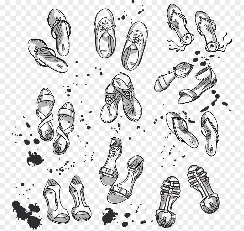 Painted Many Pairs Of Shoes For Women Shoe Footwear Drawing Illustration PNG