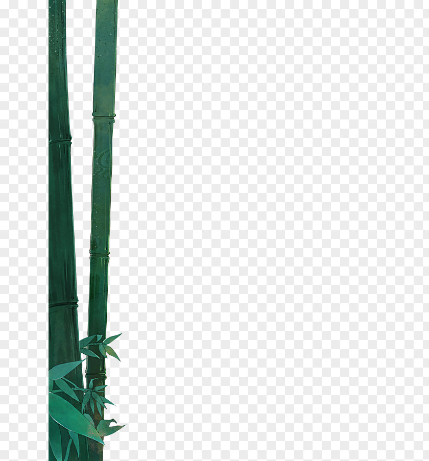Bamboo Download PNG
