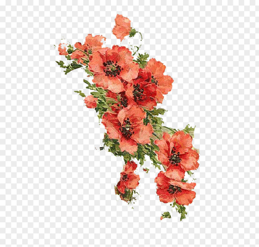 Fine Bouquet Floral Design Fashion Cut Flowers Perfume PNG