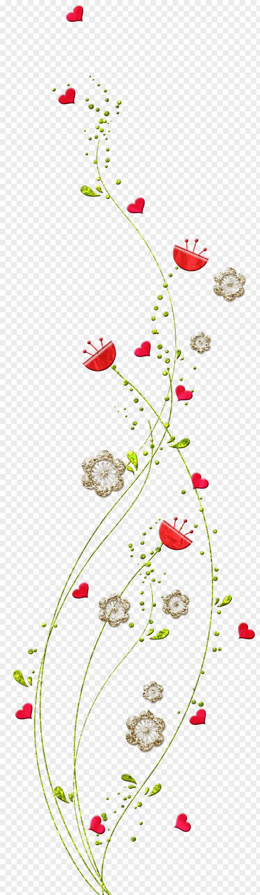 Holi Flower Clip Art PNG
