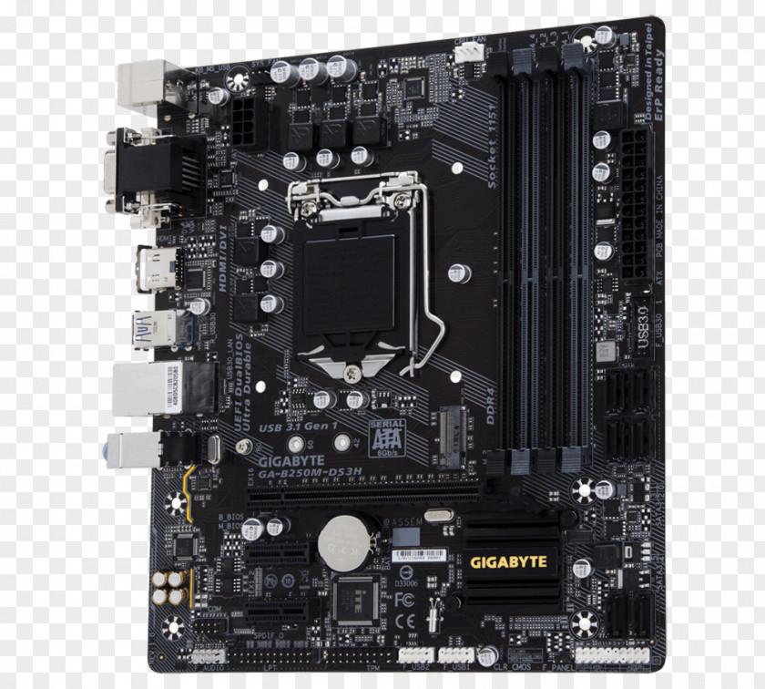 Intel LGA 1151 Motherboard GIGABYTE GA-B250M-DS3H Gigabyte Technology PNG