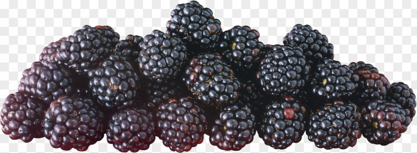 Mulberry Boysenberry Mûre Auglis PNG