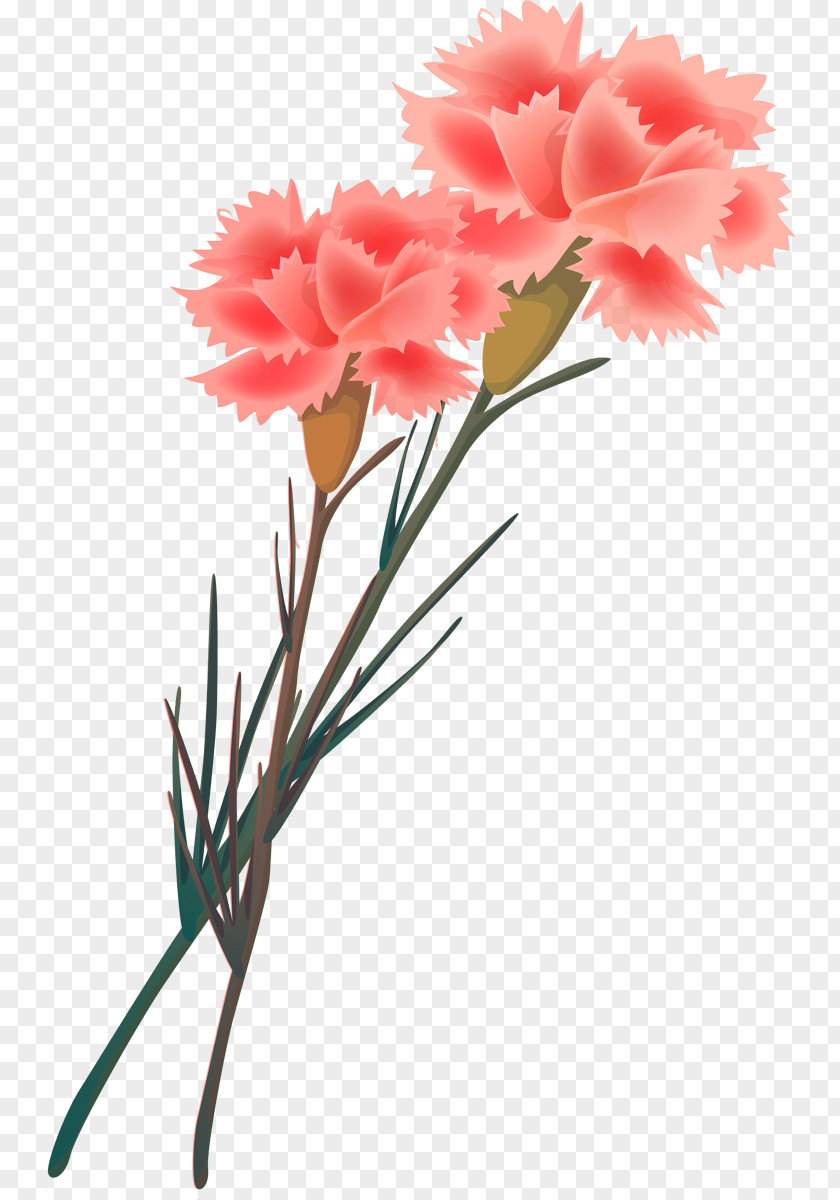 Flower Cut Flowers Carnation Painting Floral Design PNG