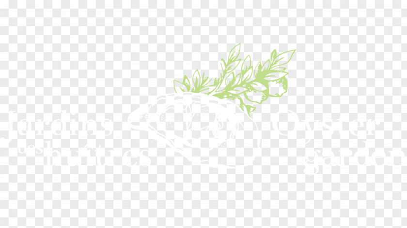Leaf Desktop Wallpaper Grasses Plant Stem Font PNG
