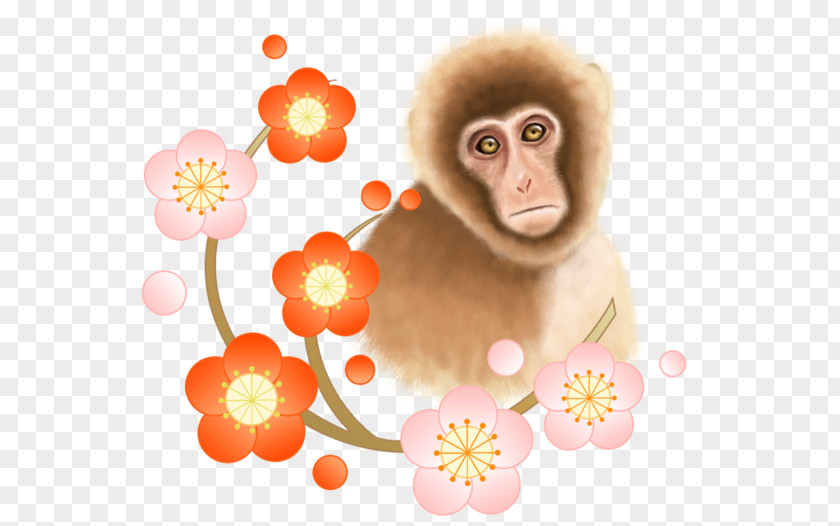 Monkeys And Flowers I Ching Rooster New Year Card Photography Illustration PNG