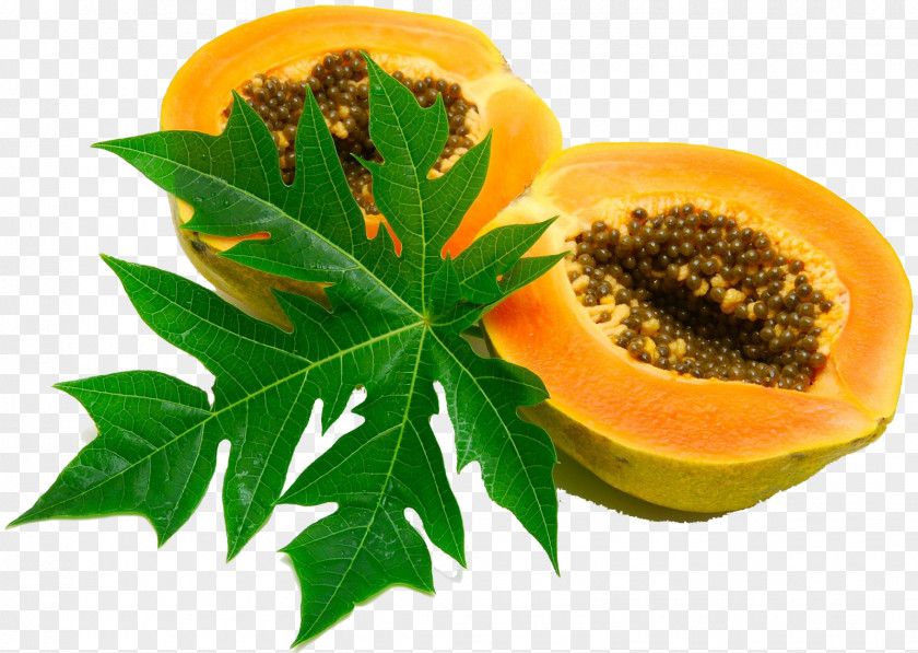 100-natural Papaya Leaf Juice Extract Syrup PNG