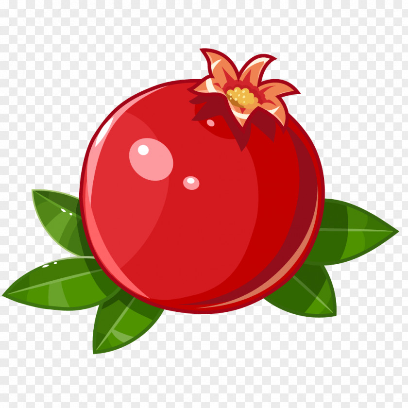 Bright Red Pomegranate Fruit Juice Stock Illustration PNG