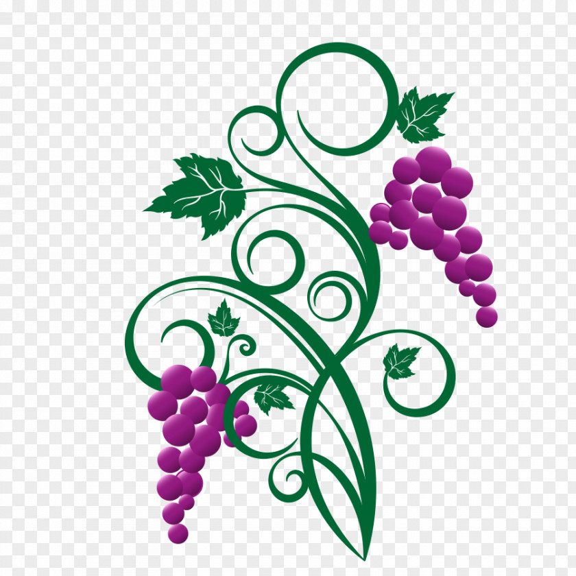 Cartoon Grape White Wine Leaves Vector Graphics PNG