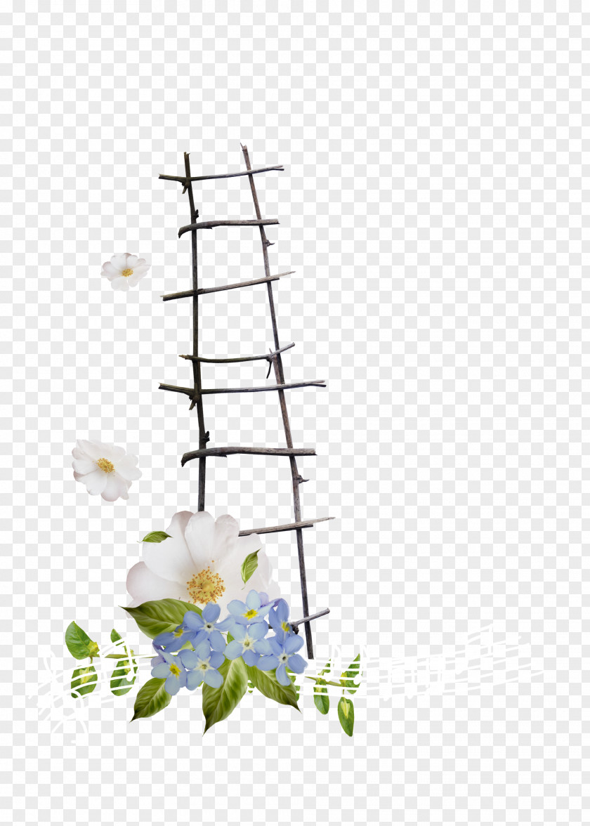 Flowers Ladder Stairs PNG