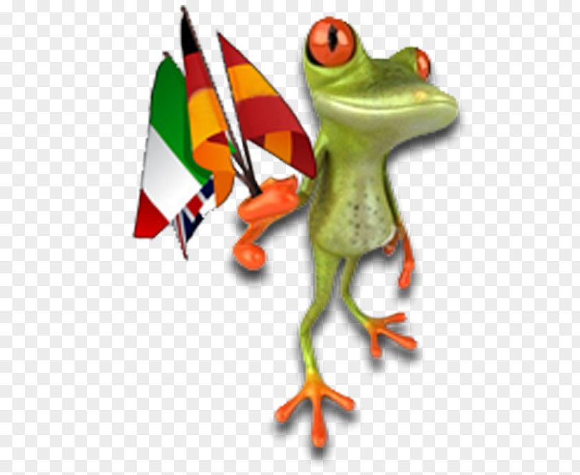 Grenouille Tree Frog True Champagne Depositphotos PNG