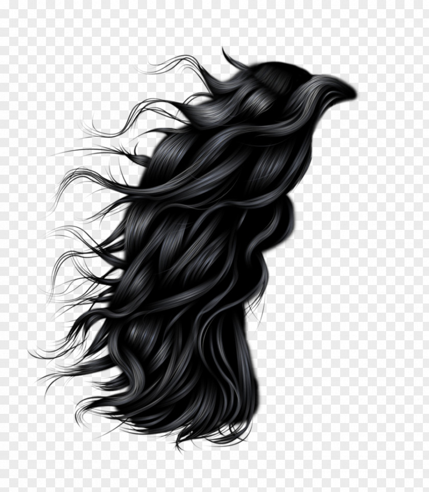 Hair Hairstyle Photography Clip Art PNG