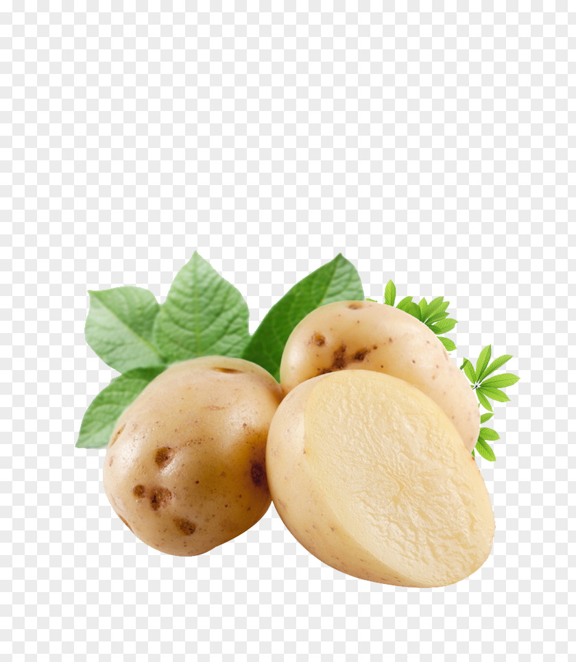Potato Sweet Cultivar Tuber Vegetable PNG