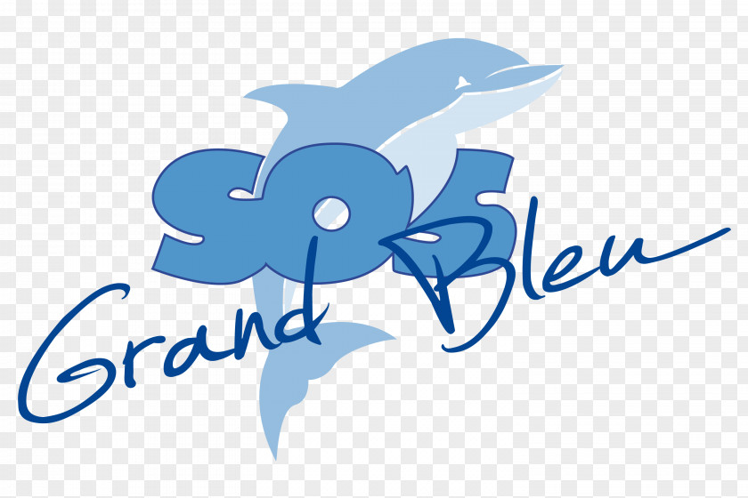 Architectur Logo Navire Santo Sospir SOS Grand Bleu Marine Mammal Graphic Design Desktop Wallpaper PNG